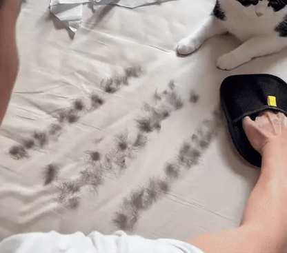 NEZZOVA™ Instant Pet Hair Remover